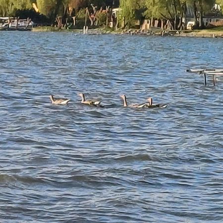 Gosciniec Twoje Mazury Nad Jeziorem Sniardwy Tuz Obok Plazy Nowe Guty Luaran gambar