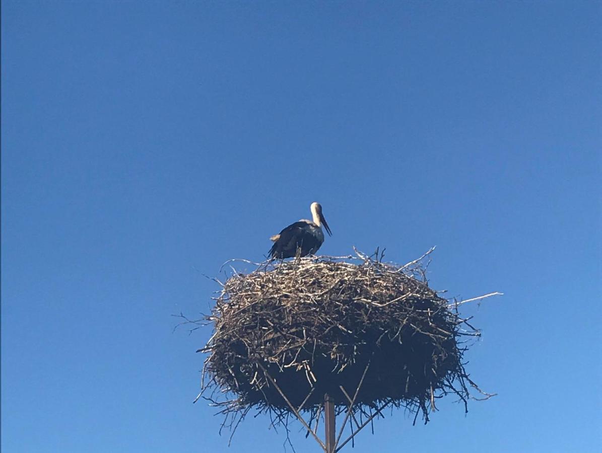 Gosciniec Twoje Mazury Nad Jeziorem Sniardwy Tuz Obok Plazy Nowe Guty Luaran gambar